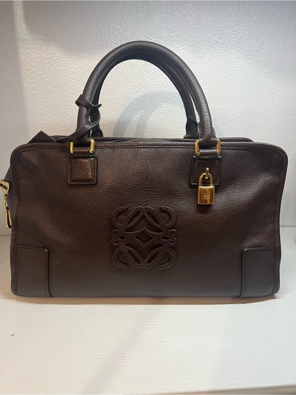 Loewe Amazona Bag